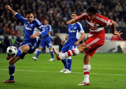 这些新鲜血 这些新鲜血