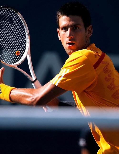 的辉煌历史 的辉煌历史